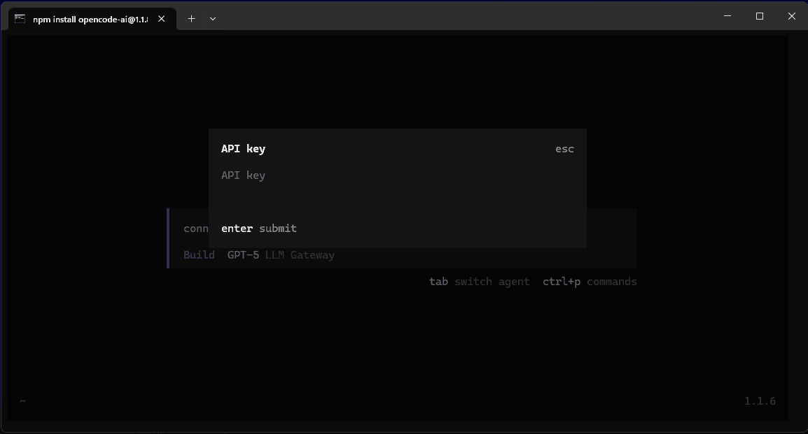 Enter API Key